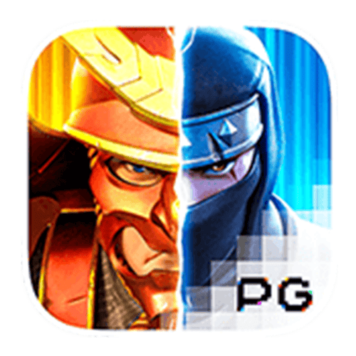Ninja vs Samurai