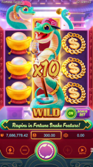 Fortune Snake