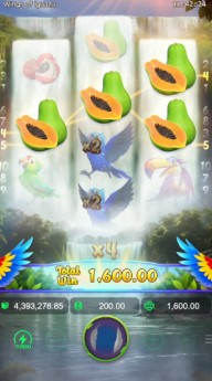 wings of iguazu ตัวคูณ