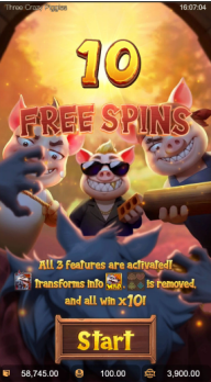 Three Crazy Piggies