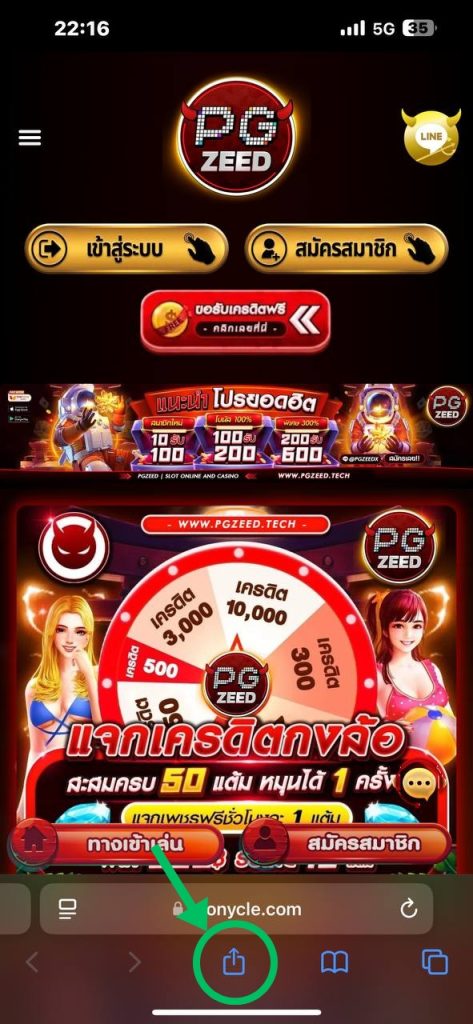 วิธีการติดตั้ง pgzeed