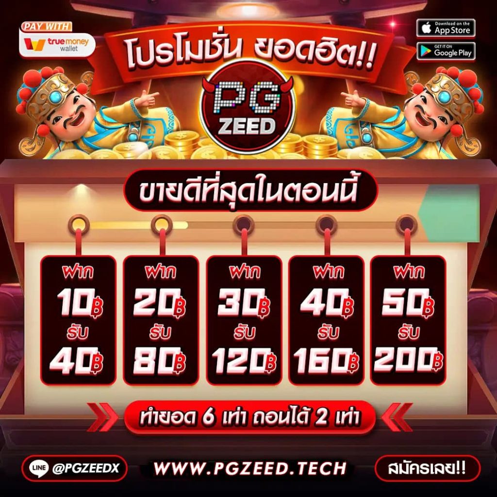 โปรโมชั่น PGZEED