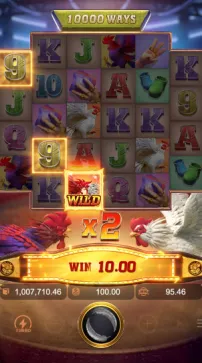 สัญลักษณ์ตัวคูณ Multiplier ของ Rooster Rumble