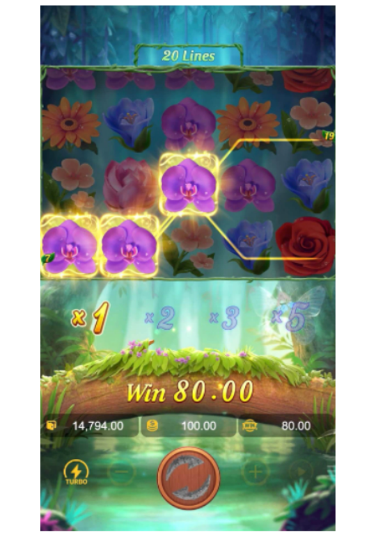 Butterfly Blossom